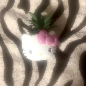 fake hello kitty plant